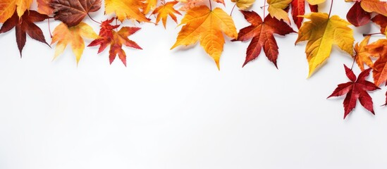Bright leaves on white surface