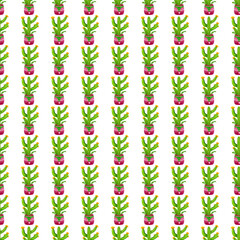 Patterns Flower, cactus an