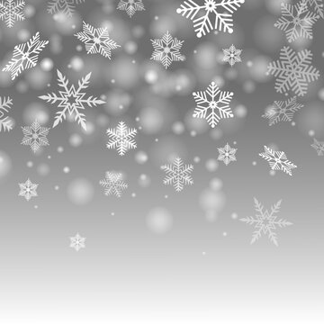 Vector image of the snowfall  with the big snowflakes during the blizzard on the gray winter sky background.