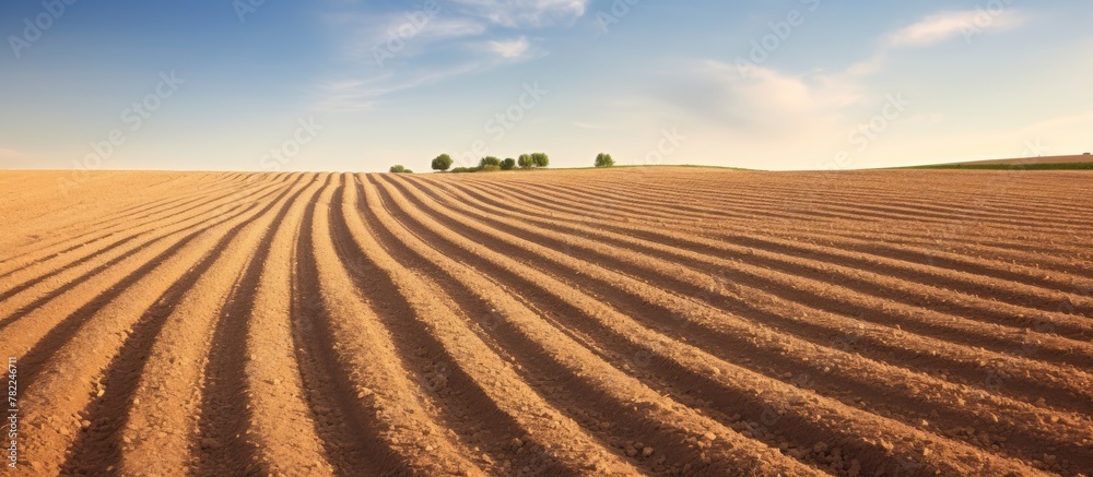 Poster plowed field with distant trees
