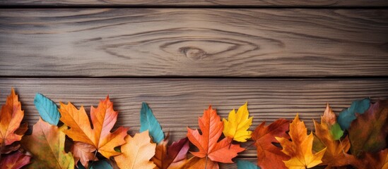 Colorful autumn leaves on wooden surface
