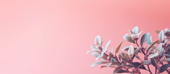 Fototapeta premium Pink foliage against green backdrop