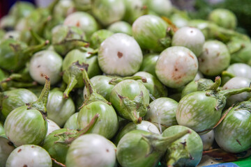 Aubergine Thailand Frischmarkt Markt