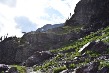 Wildlife, Forests, Mountains, and Landscapes in the northern USA