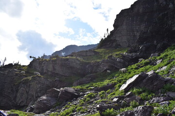 Wildlife, Forests, Mountains, and Landscapes in the northern USA