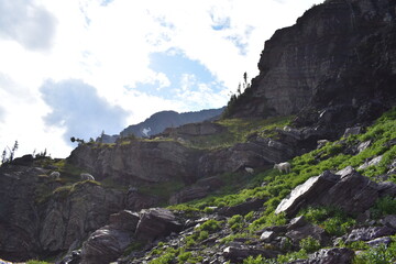 Wildlife, Forests, Mountains, and Landscapes in the northern USA