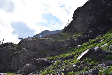 Wildlife, Forests, Mountains, and Landscapes in the northern USA