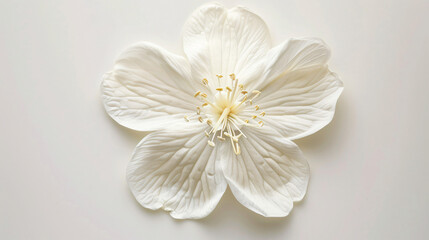 A jasmine flower with intricate textures - Powered by Adobe