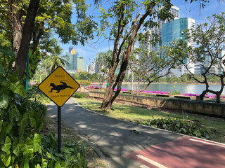 Cycle path with warning sign of a water monitor