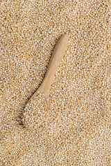 quinoa grain for cooking healthy porridge
