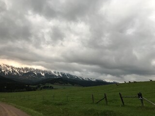 Wildlife, Forests, Mountains, and Landscapes in the northern USA