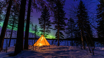 Night, forest, stars and northern lights
