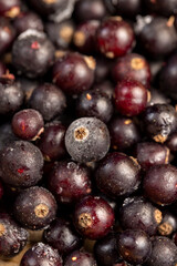 fresh frozen currants for long-term storage