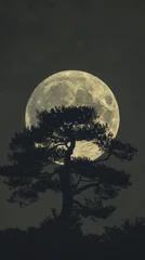 Papier peint adhésif Pleine Lune arbre Full moon behind silhouette of tree