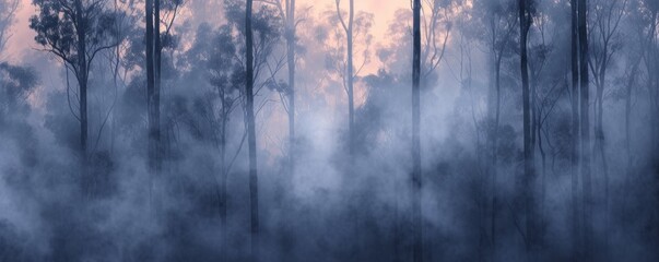 Misty eucalyptus forest at twilight