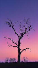 Fototapeta na wymiar Silhouette of a bare tree against a colorful twilight sky