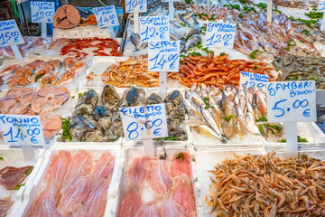 Fresh fish and seafood for sale at a market in Naples, Italy - 782269754