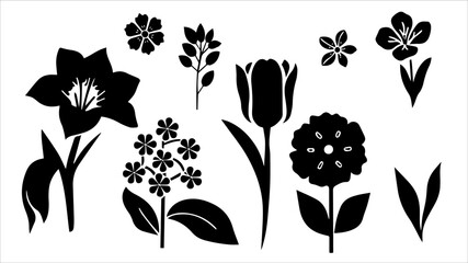 Tulip flowers decoration doodle set. Collection of hand drawn various blooming tulip floral pattern decorations wallpaper in rows isolated on transparent background