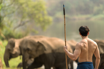 Back view shirtless young mahout looking at group of elephants in elephant sanctuary
