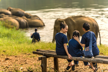 Asian female women and girl in indigo clothing sitting on bench near river looking at elephant...