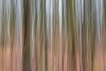 Abstract background, Blurred texture, trendy art, Background Of Trees Made Of Abstract Wood Low Shutter Panning Shot