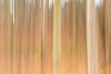 Abstract background, Blurred texture, trendy art, Background Of Trees Made Of Abstract Wood Low...