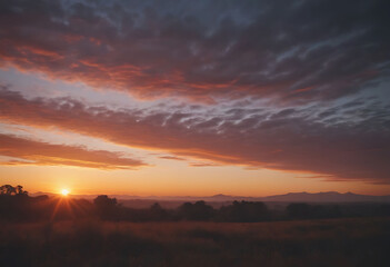 Sunrise on a plain, golden hour, vegetation