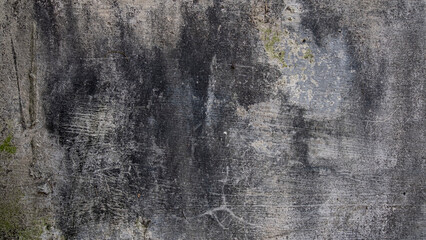 Grey concrete wall with black mildew stains