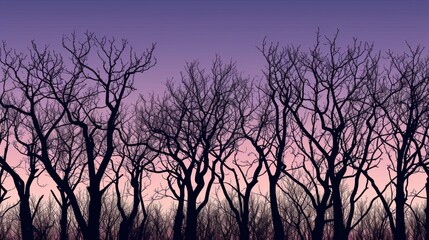 Silhouette of bare trees against a twilight sky