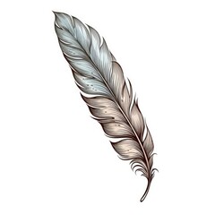 Bird Feather Hand Drawn Illustration Isolated on White Background, Elegance Curly Bird Feather