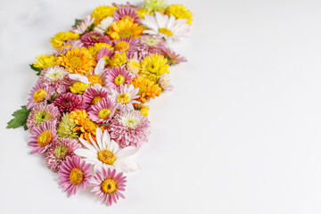 Beautiful flower composition from different field flowers. Flower card.