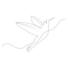 Obraz premium Hummingbird Continuous one line drawing illustration art vector design