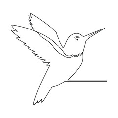 Hummingbird Continuous one line drawing illustration art vector design