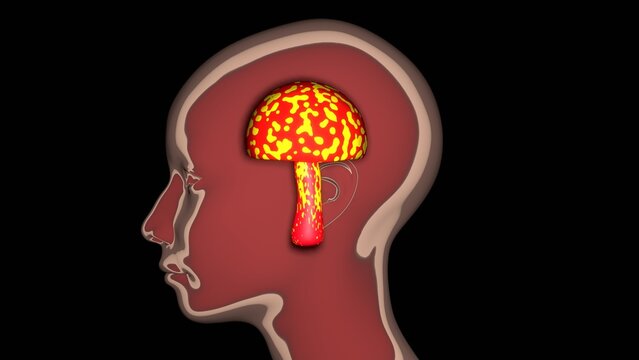 Human head with mushroom inside. Psychedelic Healing. Colorful glowing mushroom inside human head.  Healing plants. Mind altering fungi. 3d render illustration