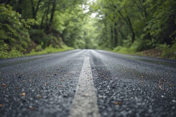 road in a summer, green forest with a perspective.  background, with copy space.