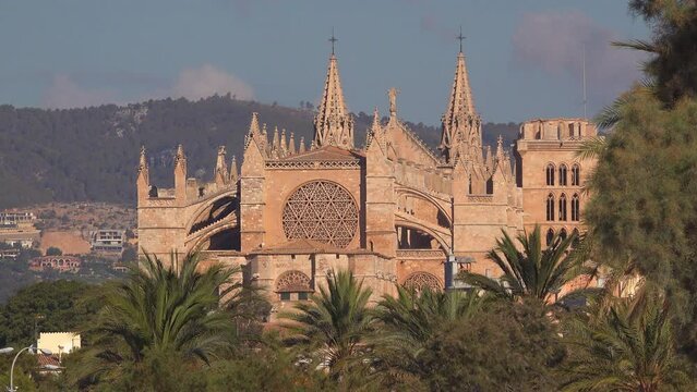 La Seu Cathedral of Santa Maria (St. Mary) in Palma de Mallorca, iconic Gothic Roman Catholic building surrounded by palm trees in the capital city center of the Spanish island