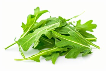 Arugula leaves separated on white background
