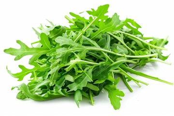 Arugula on white background High quality image
