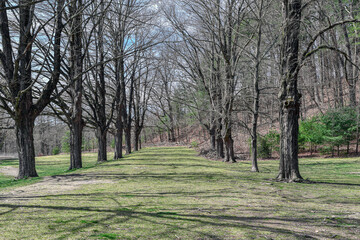 Fototapeta premium veiw of the landscape of the quabbin reservoir