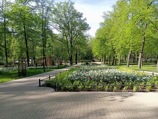 Spring in the park. European park with flowers, benches and alleys. Sunny day