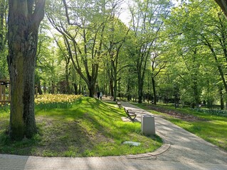 path in the park, sunny day, walk