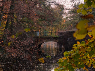 Mostek w parku nad rzeczką wśród drzew i liści w kolorach jesieni - obrazy, fototapety, plakaty