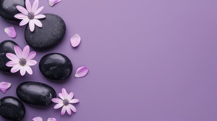  Flat Lay Composition of Black Spa Stones and Flowers Isolated on a Purple Background