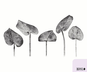 Eucalyptus plant. Spring bouquet. Pointillism, graphic black ink drawing - 782310944