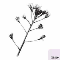 Blossom twig. Spring plant. Graphic drawing, abstract pointillism - 782311154