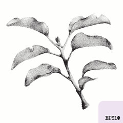 Twig with leaves. Spring plant. Graphic drawing, abstract pointillism - 782311178