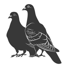 Silhouette dove bird animal couple pigeon black color only
