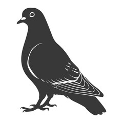 Obraz premium Silhouette dove bird animal black color only full body