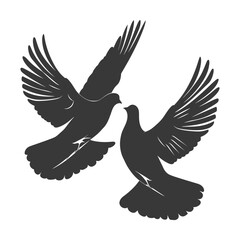 Silhouette dove bird animal fly couple pigeon black color only