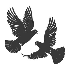Obraz premium Silhouette dove bird animal fly couple pigeon black color only